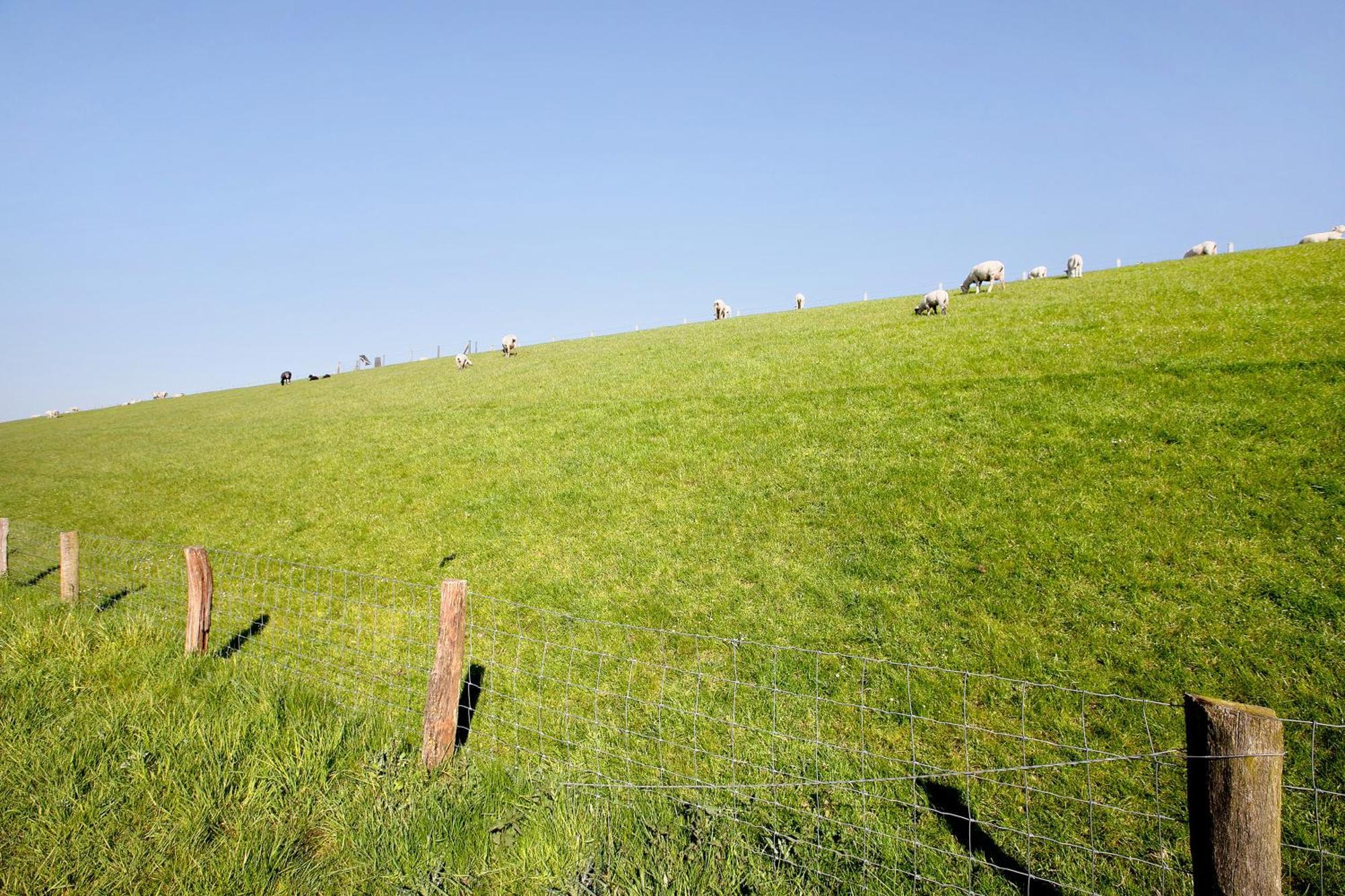 Hoern 1 Nordstrand Zewnętrze zdjęcie