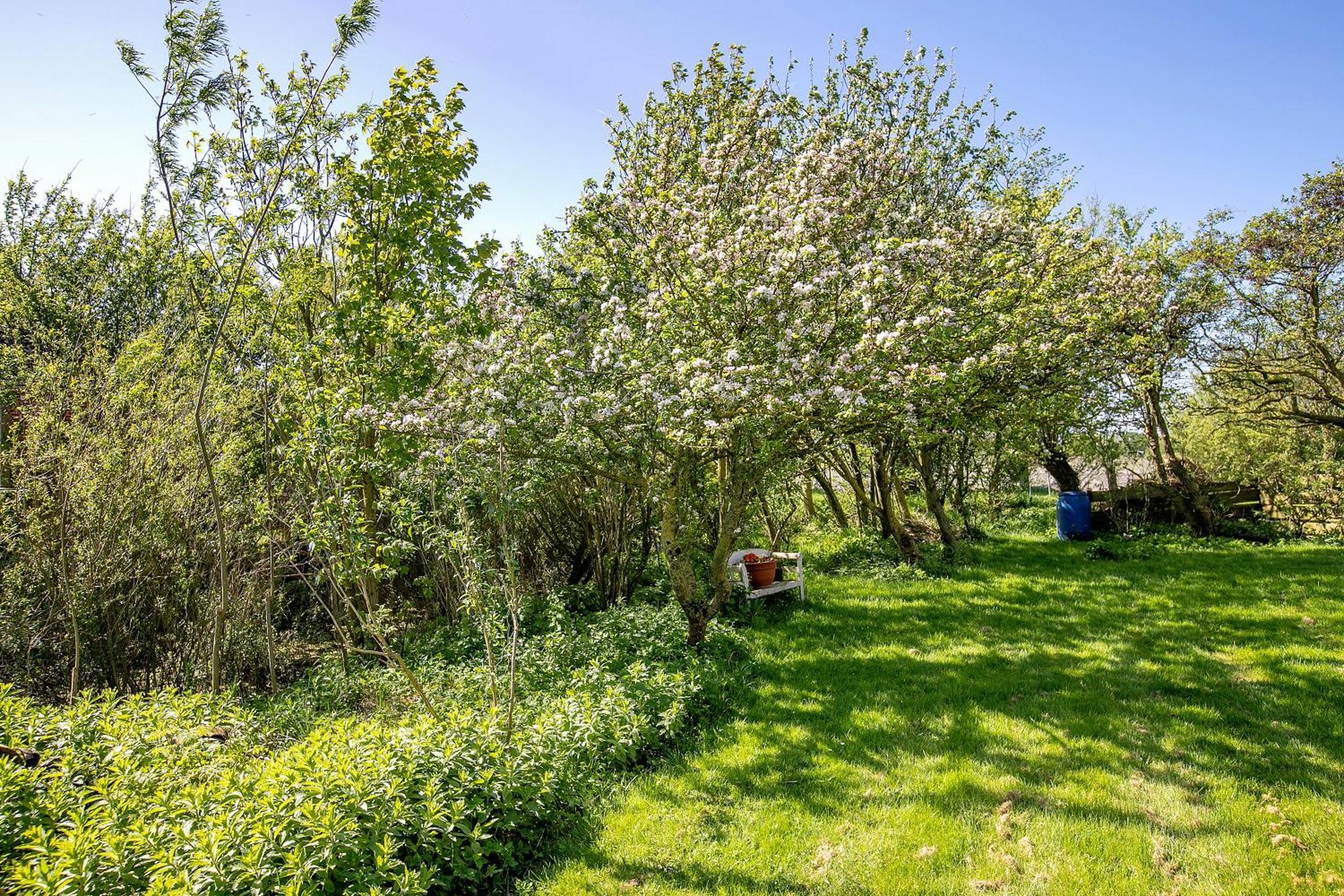 Hoern 1 Nordstrand Zewnętrze zdjęcie